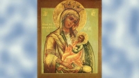 7 февраля - память иконы Божией Матери *Утоли моя печали* - престольный праздник нашего собора