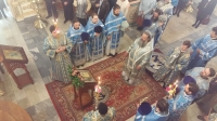 30 лет со дня преставления архиепископа Климента (Перестюка)